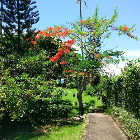 Gajah Mina Beach Resort-3